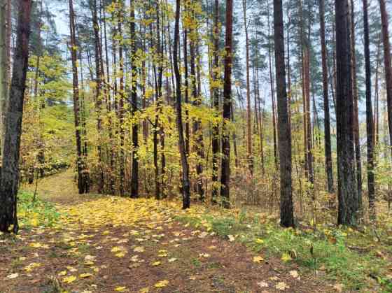 Земельный участок с лесными домами для частного строительства в Бергах. Рига