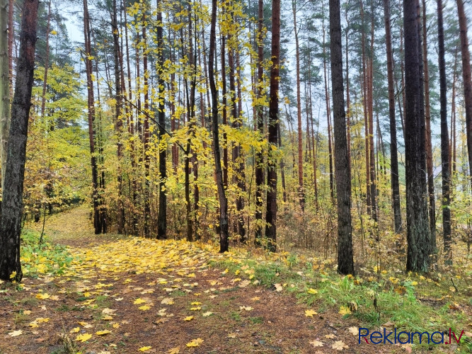 Gruntsgabals ar mežu privātmājas būvniecībai Berģos.   Zemes gabals ir ar reljefu un apaudzis Rīga - foto 4