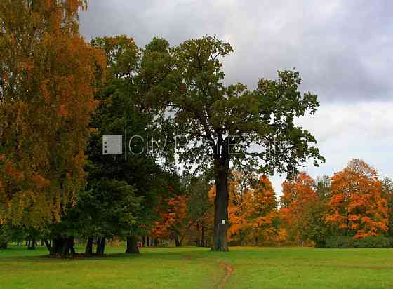 Шампетери Земля в собственности, благоустроенный озеленённый двор, территория Rīga