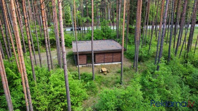Māja Jūrmalā, meža vidū, pirmajā līnijā.  Cena ilgtermiņam - 800 eur/mēn. Cena vasarā - Jūrmala - foto 7