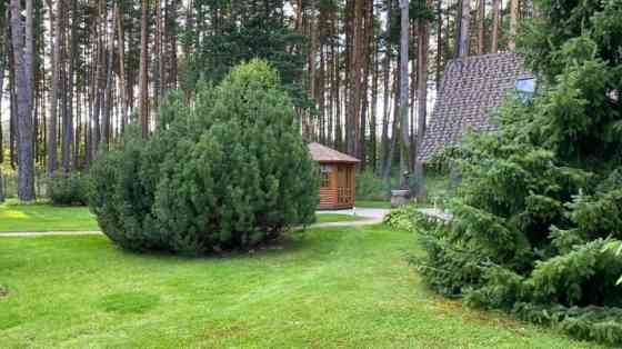 Продается светлый, уютный, хорошо ухоженный дом с камином и традиционной Jūrmala