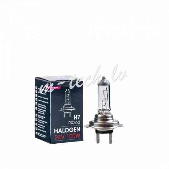 Z979 - M-TECH Halogen bulb PX26d H7 24V/100W Рига