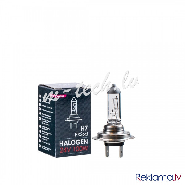 Z979 - M-TECH Halogen bulb PX26d H7 24V/100W Рига - изображение 2