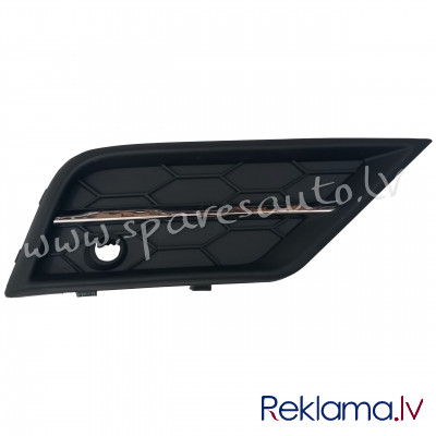 A12101 - Volkswagen Tiguan 2016-2020 bumper grille with hole for anti-smoke light with chrome bar Ri Rīga - foto 1