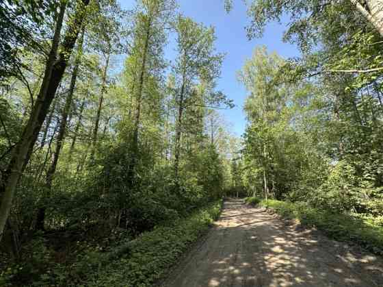 Продается земельный участок в лесу недалеко от Риги.  Функциональная планировка Rīga