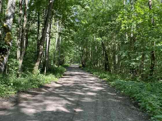 Продается земельный участок в лесу недалеко от Риги.  Функциональная планировка Rīga