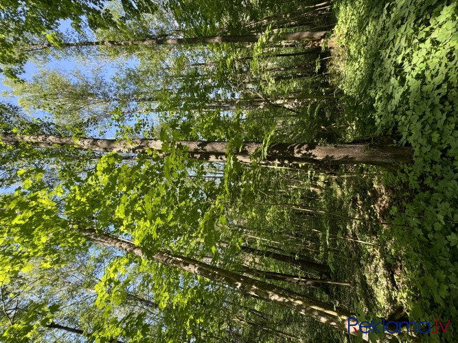 Продается земельный участок в лесу недалеко от Риги.  Функциональная планировка Рига - изображение 5