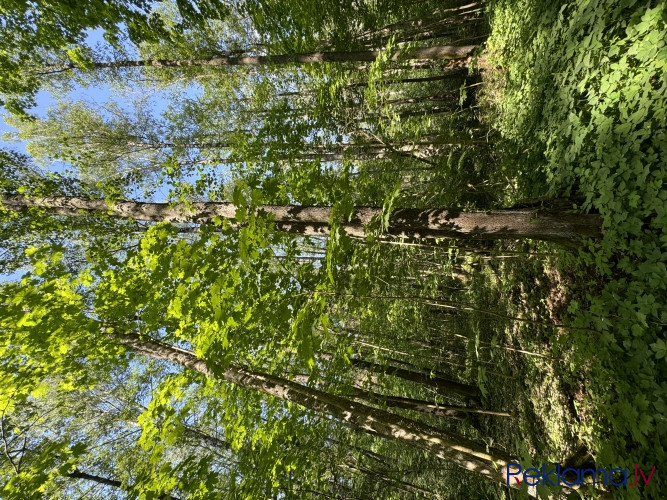 Apbūves zeme skaistā un ainaviskā vietā Bumbu kalniņa tuvumā.  Perfekta vieta tiem, kas Rīga - foto 5