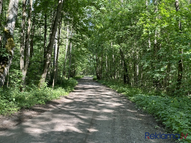 Продается земельный участок в лесу недалеко от Риги.  Функциональная планировка Рига - изображение 2
