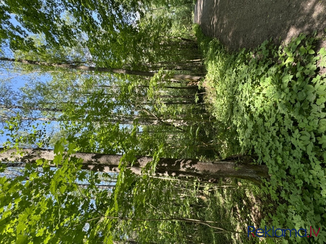 Продается земельный участок в лесу недалеко от Риги.  Функциональная планировка Рига - изображение 8