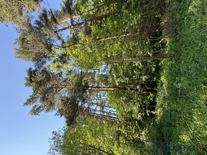 Продается земельный участок в лесу недалеко от Риги.  Функциональная планировка Рига - изображение 9
