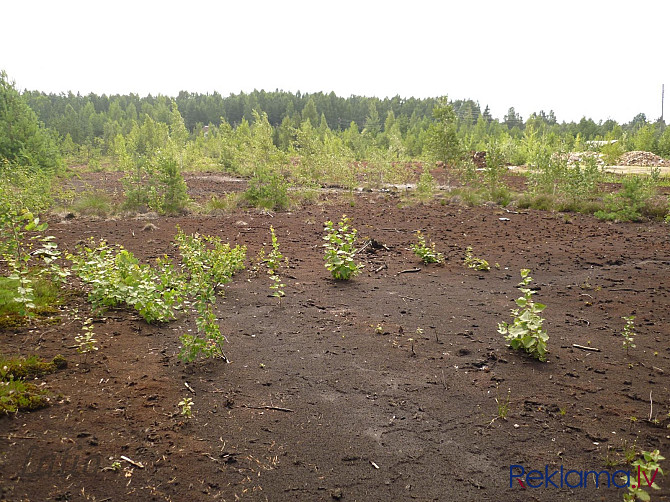 Pārdod regulāras formas privātmāju apbūves zemi ciematā Virši, piemērota vienas vai divu Olaine - foto 5