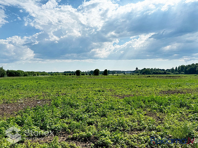 Pārdod 6.04 ha zemes gabalu Valdlaučos, Ķekavas novadā, 100 m attālumā no Rīgas robežas. Ķekavas pagasts - foto 8