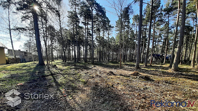 Общая площадь земельного участка: 2434 м2Статус земельного участка: лесной массив Саулкрасты - изображение 1