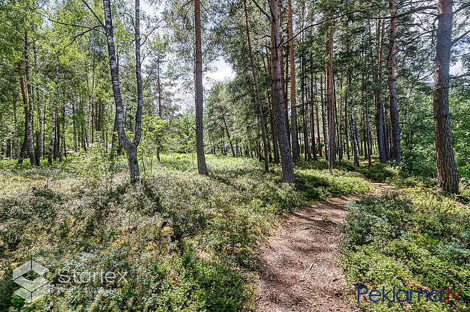 Tev paveras lieliska iespēja īrēt trīs-istabu dzīvokli Purvciemā piektajā stāvā. Rīga - foto 18