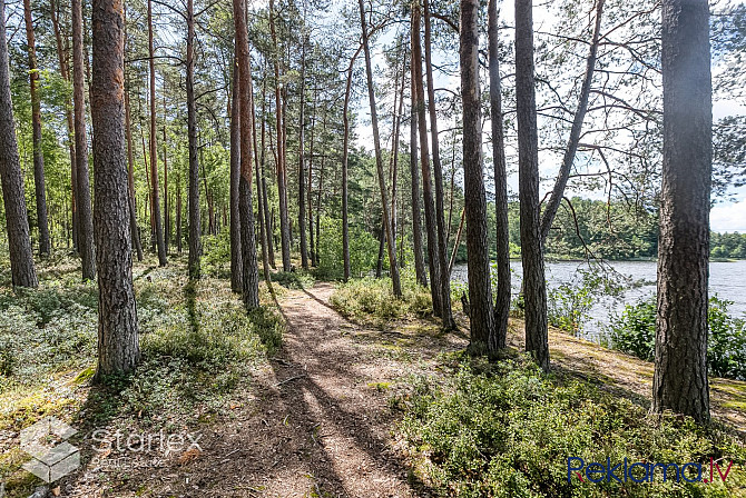 Tev paveras lieliska iespēja īrēt trīs-istabu dzīvokli Purvciemā piektajā stāvā. Rīga - foto 16