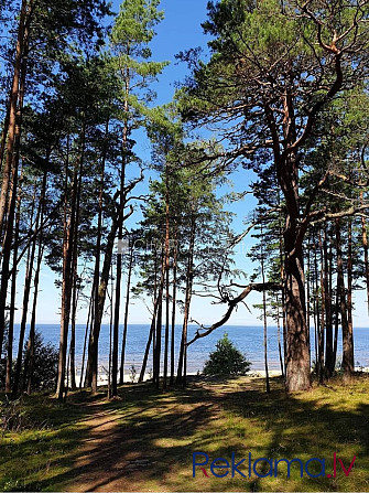 Labiekārtots apzaļumots pagalms, bruģēts piebraucamais ceļš, terase, guļamistabu skaits 4 Jūrmala - foto 12