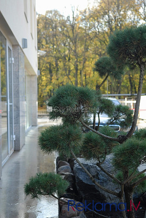 Здание во дворе, благоустроенная озеленённая территория, закрытый двор, Рига - изображение 20