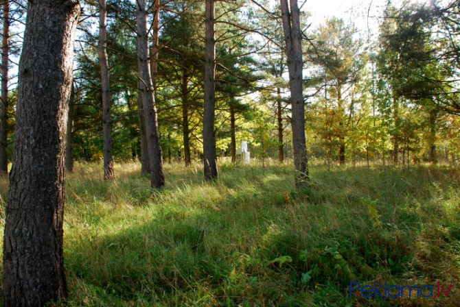 Pārdod daļu no nekustamā īpašuma  zemes vienību 6,53 ha platībā Limbažu ezera krastā ar nosaukumu Pu Лимбажи и Лимбажский край - изображение 10