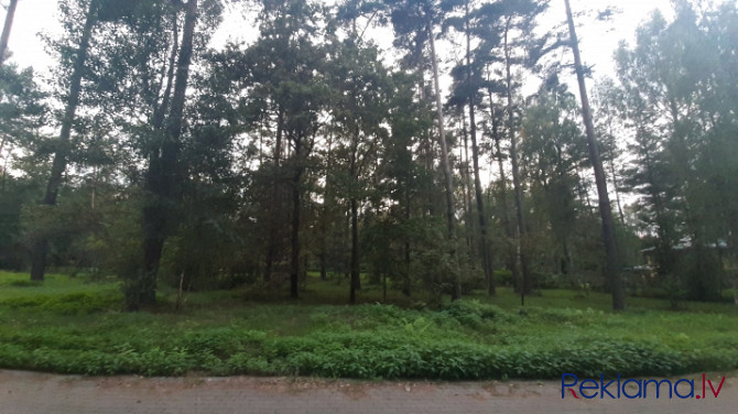 Building plot for sale in Ezerkrasts village, Sunīši, Garkalne parish, located in the immediate vici Рижский район - изображение 4