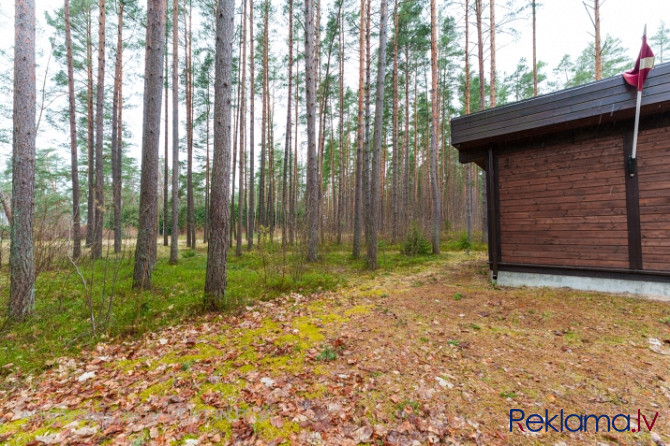 Māja Jūrmalā, meža vidū, pirmajā līnijā.  Iznomā 85 kvm māju ar 5136 kvm lielu zemes Jūrmala - foto 3