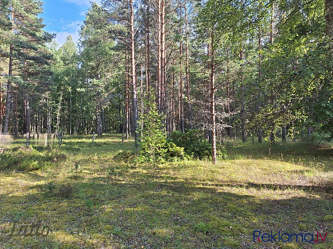 Pārdod zemes gabalu Kurzemes jūrmalā,  Līvu krastā, netālu no Irbes upes ietekas jūrā. Ventspils un Ventspils novads - foto 3