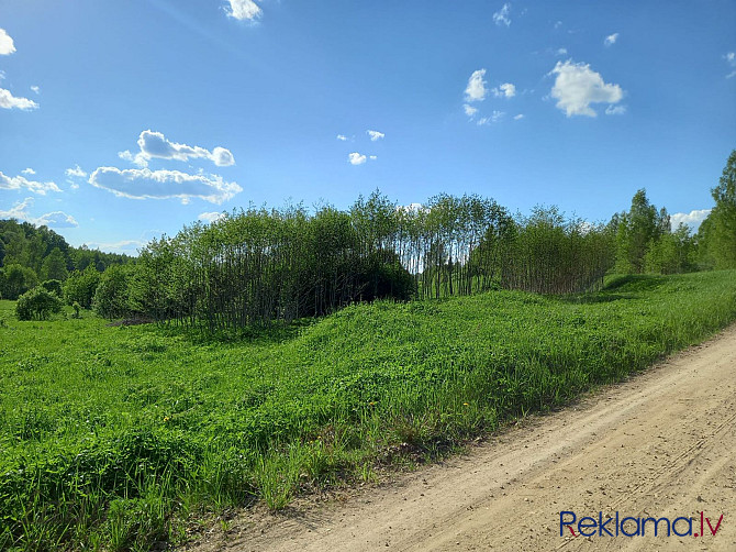 5.8 hektārus plašs zemes gabals lauksaimniecībai tuvumā dīķim un upei. Tikai 4 kilometru Ogre un Ogres novads - foto 3