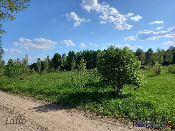 5.8 hektārus plašs zemes gabals lauksaimniecībai tuvumā dīķim un upei. Tikai 4 kilometru Ogre un Ogres novads - foto 5