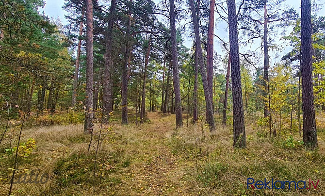 Tikai 3 km attālumā no burvīgās un plašās Vecāķu pludmales tiek pārdots apbūves gabals Rīga - foto 1