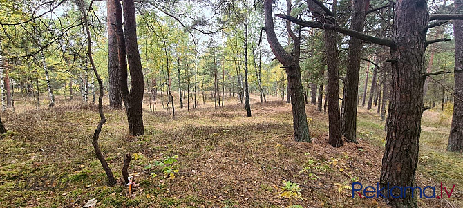 Tikai 3 km attālumā no burvīgās un plašās Vecāķu pludmales tiek pārdots apbūves gabals Rīga - foto 2