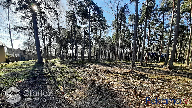 Zemes kopējā platība: 2434 m2Zemes statuss: meža zeme 2379 m2Orientējoši transformējamā Saulkrasti - foto 15