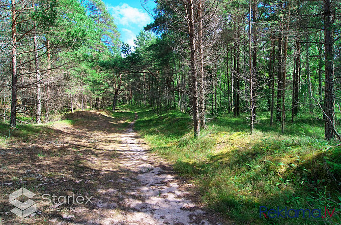 Pārdod zemes īpašumu ar kopējo platību 3,79 ha Mazirbē, pirmajā līnijā no jūras. Lielisks Talsi un Talsu novads - foto 15