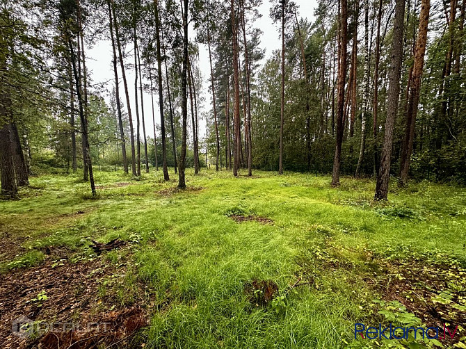 Izīrē ilgtermiņā nepabeigtu jaunbūvi Siguļos, Lačumuižas iela 1,  gleznainā priežu meža Rīgas rajons - foto 5