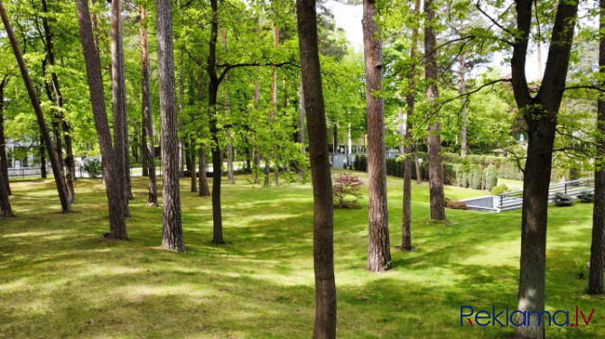 Pārdod zemes gabalu Mežaparkā, kurš atrodas klusā vietā blakus Ķīšezeram.  Platība: Rīga - foto 8