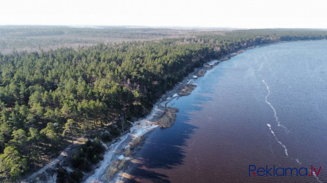 Piedāvājumā zemes gabals skaistā, klusā, priežu meža ieskautā vietā,  Lielupes krastā, Jūrmala - foto 7