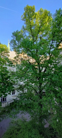Tiek pārdots kvalitatīvi renovēts 4 istabu dzīvoklis Skolas ielā, klusā pagalma ēkā. 3 Rīga - foto 10