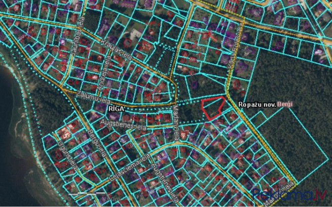 Gruntsgabals ar mežu privātmājas būvniecībai Berģos.   Zemes gabals ir ar reljefu un apaudzis ar mež Рига - изображение 7