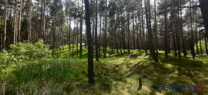 Piedāvājumā zemes gabals skaistā, klusā, priežu meža ieskautā vietā Lielupes krasta Jūrmala - foto 5