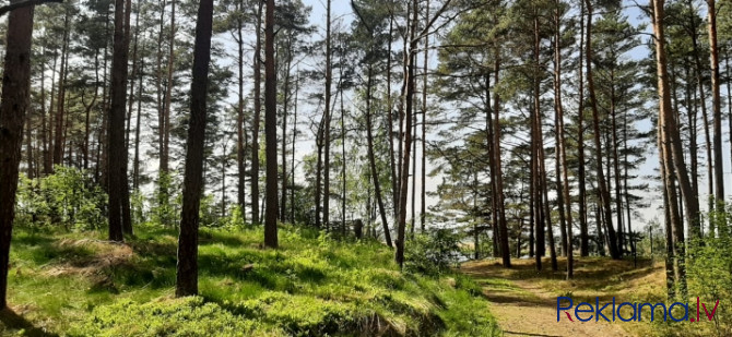 Piedāvājumā zemes gabals skaistā, klusā, priežu meža ieskautā vietā Lielupes krasta Jūrmala - foto 9