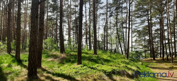 Piedāvājumā zemes gabals skaistā, klusā, priežu meža ieskautā vietā Lielupes krasta Jūrmala - foto 6