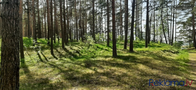 Piedāvājumā zemes gabals skaistā, klusā, priežu meža ieskautā vietā Lielupes krasta Jūrmala - foto 8