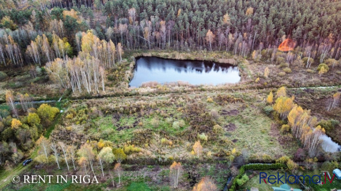 Продаётся земельный участок с водоёмом в Krogsils.  Площадь 19700 м   DzM - район Кекавская вол. - изображение 7