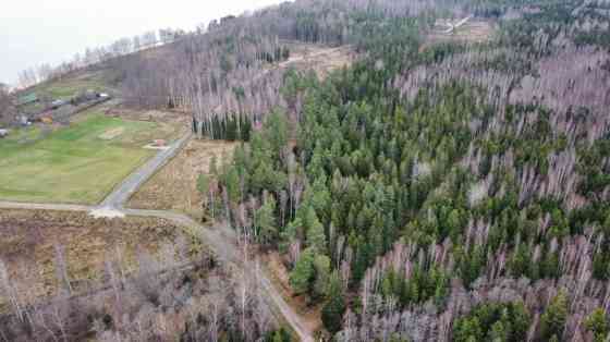 Piedāvājumā lielisks 3.24 ha liels zemes gabals Vidzemes jūrmalā 300 m no jūras.   Īpašumu visā plat Лимбажи и Лимбажский край